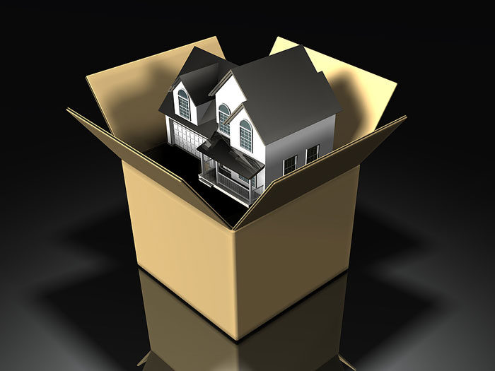 House in moving box